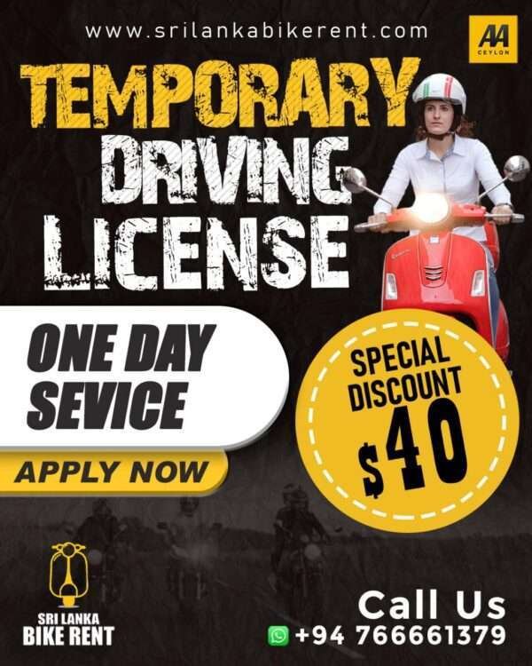 Temporary Driving License